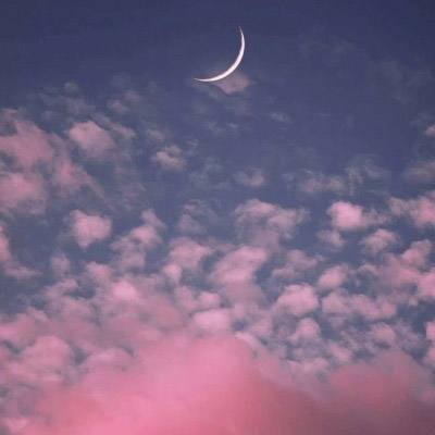 星空体育官方网站手机app下载