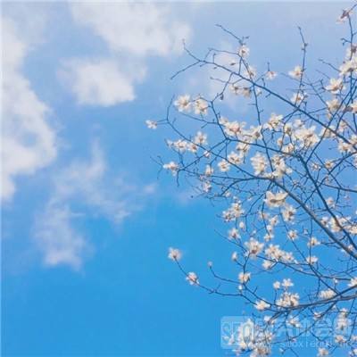 BOB体育官网下载入口