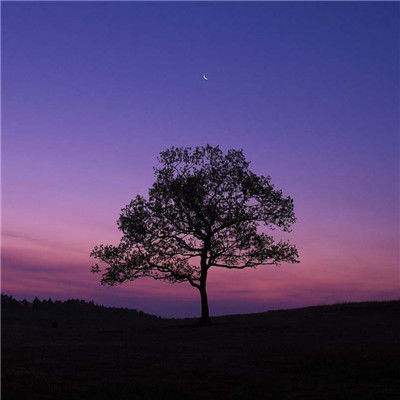 星空体育官方网站下载手机版