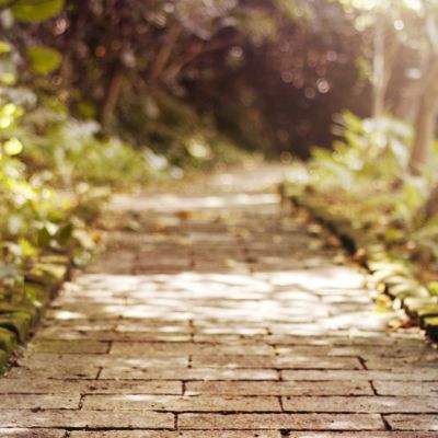 江南体育网页版